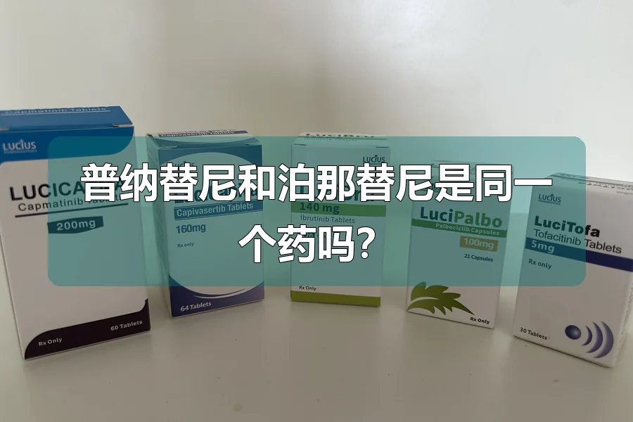 普纳替尼和泊那替尼是同一个药吗?