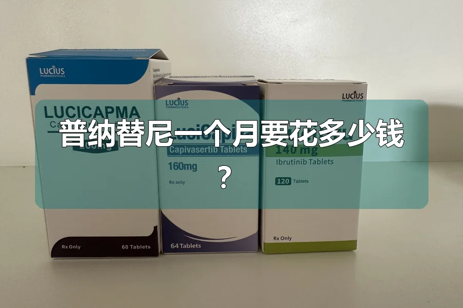 普纳替尼一个月要花多少钱?