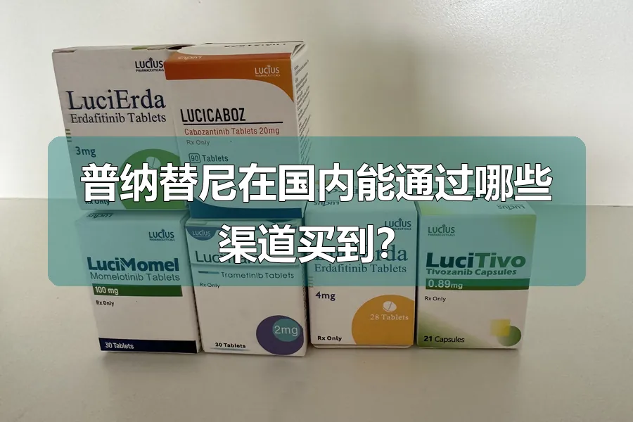 普纳替尼在国内能通过哪些渠道买到？